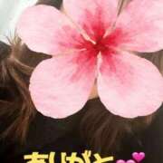 あさひ 本日の紳士様♥ 水戸人妻花壇