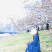 ヒメ日記 2025/04/03 09:02 投稿 美咲あやね LUXE(リュクス)