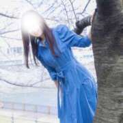 ヒメ日記 2025/04/04 12:04 投稿 美咲あやね LUXE(リュクス)