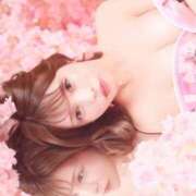 ヒメ日記 2026/03/16 11:02 投稿 りせ ムーランルージュ