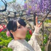 ヒメ日記 2025/04/17 20:44 投稿 滝ゆり ムーランルージュ