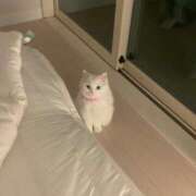 ヒメ日記 2025/04/25 18:14 投稿 天使みなみ CLUB39（クラブサンキュー）