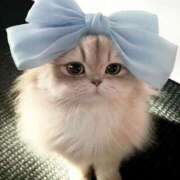 ヒメ日記 2025/08/18 21:32 投稿 天使みなみ CLUB39（クラブサンキュー）