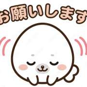 ヒメ日記 2025/02/08 17:43 投稿 しほ 性腺熟女100％（デリヘル市場）