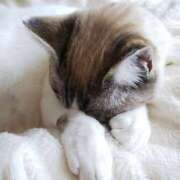 ヒメ日記 2025/02/13 18:02 投稿 しほ 性腺熟女100％（デリヘル市場）