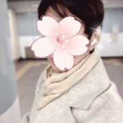 ヒメ日記 2025/03/31 14:55 投稿 しほ 性腺熟女100％（デリヘル市場）