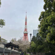 ヒメ日記 2025/04/10 10:41 投稿 しほ 性腺熟女100％（デリヘル市場）