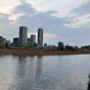 ヒメ日記 2025/04/11 17:35 投稿 しほ 性腺熟女100％（デリヘル市場）