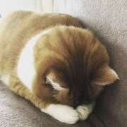 ヒメ日記 2025/05/02 18:46 投稿 しほ 性腺熟女100％（デリヘル市場）