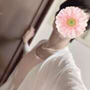 ヒメ日記 2025/05/20 12:02 投稿 しほ 性腺熟女100％（デリヘル市場）