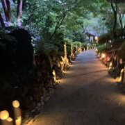 ヒメ日記 2025/06/27 12:25 投稿 しほ 性腺熟女100％（デリヘル市場）