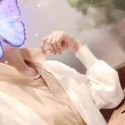 ヒメ日記 2025/07/20 23:51 投稿 しほ 性腺熟女100％（デリヘル市場）