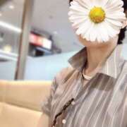 ヒメ日記 2025/08/15 19:13 投稿 しほ 性腺熟女100％（デリヘル市場）