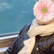 ヒメ日記 2025/11/05 18:00 投稿 しほ 性腺熟女100％（デリヘル市場）