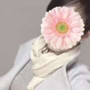 ヒメ日記 2025/12/03 23:52 投稿 しほ 性腺熟女100％（デリヘル市場）