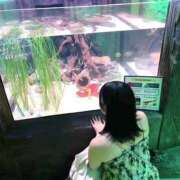 ヒメ日記 2025/08/01 18:49 投稿 かれん 隙のあるエステ