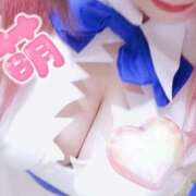 ヒメ日記 2025/01/14 12:30 投稿 こよみん ソープランド メイド館 ラ・メイド