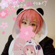 ヒメ日記 2025/03/22 10:33 投稿 こよみん ソープランド メイド館 ラ・メイド