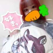 ヒメ日記 2025/03/29 09:04 投稿 こよみん ソープランド メイド館 ラ・メイド