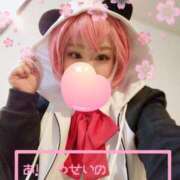 ヒメ日記 2025/03/31 07:03 投稿 こよみん ソープランド メイド館 ラ・メイド