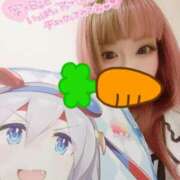 ヒメ日記 2025/04/06 09:19 投稿 こよみん ソープランド メイド館 ラ・メイド