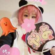 ヒメ日記 2025/04/08 19:35 投稿 こよみん ソープランド メイド館 ラ・メイド