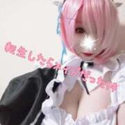 ヒメ日記 2025/04/09 09:04 投稿 こよみん ソープランド メイド館 ラ・メイド