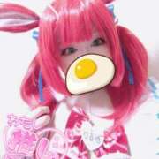 ヒメ日記 2025/05/10 08:58 投稿 こよみん ソープランド メイド館 ラ・メイド