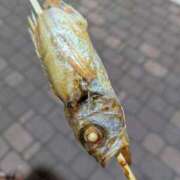 ヒメ日記 2025/05/15 23:27 投稿 こよみん ソープランド メイド館 ラ・メイド