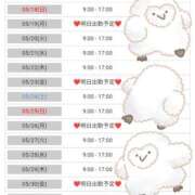 ヒメ日記 2025/05/16 18:49 投稿 こよみん ソープランド メイド館 ラ・メイド