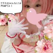 ヒメ日記 2025/09/01 16:36 投稿 こよみん ソープランド メイド館 ラ・メイド