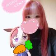 ヒメ日記 2025/09/24 13:30 投稿 こよみん ソープランド メイド館 ラ・メイド