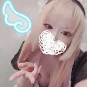 ヒメ日記 2025/11/11 19:33 投稿 こよみん ソープランド メイド館 ラ・メイド