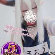 ヒメ日記 2025/11/18 12:20 投稿 こよみん ソープランド メイド館 ラ・メイド