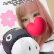 ヒメ日記 2025/11/30 11:57 投稿 こよみん ソープランド メイド館 ラ・メイド