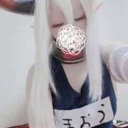 ヒメ日記 2026/02/20 18:19 投稿 こよみん ソープランド メイド館 ラ・メイド