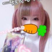 ヒメ日記 2026/03/03 14:46 投稿 こよみん ソープランド メイド館 ラ・メイド