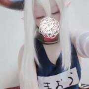 ヒメ日記 2026/03/08 06:57 投稿 こよみん ソープランド メイド館 ラ・メイド