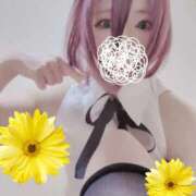 ヒメ日記 2026/07/01 07:06 投稿 こよみん ソープランド メイド館 ラ・メイド