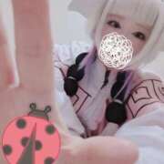 ヒメ日記 2026/08/14 20:46 投稿 こよみん ソープランド メイド館 ラ・メイド