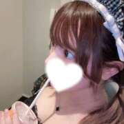 ヒメ日記 2025/04/18 19:42 投稿 ぱせり ビギナーズ神戸