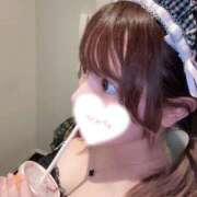 ぱせり 何してる？ ビギナーズ神戸