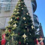 ヒメ日記 2025/12/12 18:03 投稿 しおん ワンダーホール24in幕張