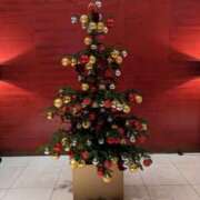 ヒメ日記 2024/12/08 07:29 投稿 りほ 奥様鉄道69 仙台店