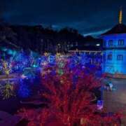 ヒメ日記 2024/12/27 02:16 投稿 りほ 奥様鉄道69 仙台店