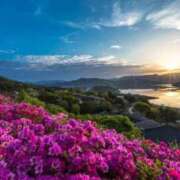 ヒメ日記 2025/01/20 01:16 投稿 りほ 奥様鉄道69 仙台店