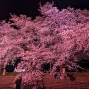 ヒメ日記 2025/04/12 20:56 投稿 りほ 奥様鉄道69 仙台店
