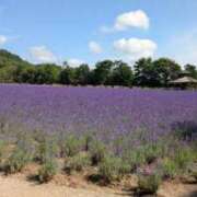 ヒメ日記 2025/07/24 17:16 投稿 りほ 奥様鉄道69 仙台店
