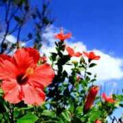 ヒメ日記 2025/08/10 09:46 投稿 りほ 奥様鉄道69 仙台店