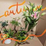 ヒメ日記 2025/09/19 23:36 投稿 りほ 奥様鉄道69 仙台店